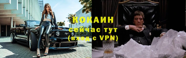трава Аркадак