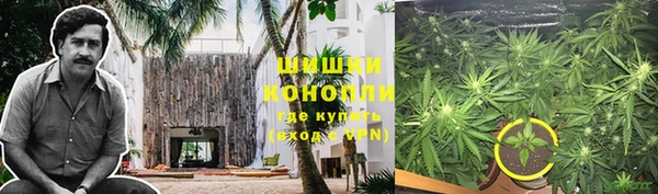 трава Аркадак