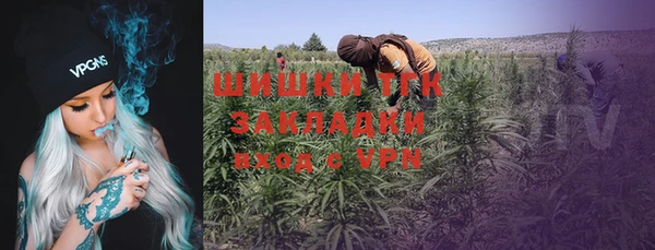 трава Аркадак